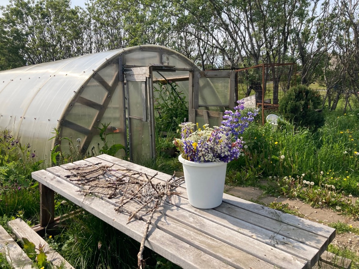 The community garden greenhouse with wildflowers and woven work on the bench